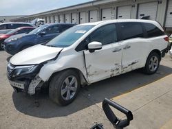 Salvage cars for sale at Louisville, KY auction: 2019 Honda Odyssey EXL