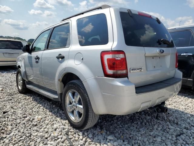 2008 Ford Escape XLT