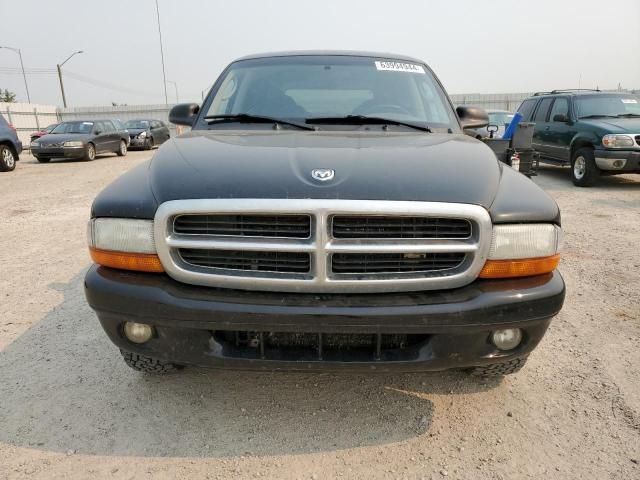 2003 Dodge Dakota Quad Sport