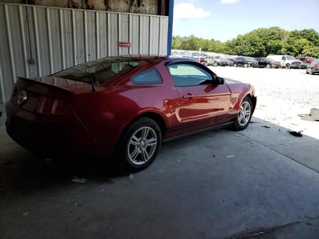 2010 Ford Mustang