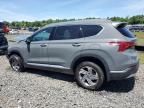 2023 Hyundai Santa FE SEL Premium