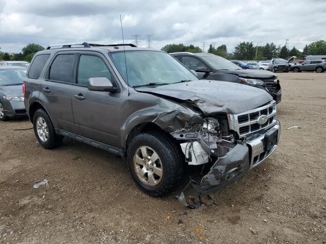 2010 Ford Escape Limited