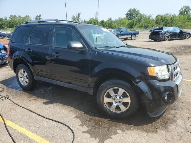 2012 Ford Escape Limited