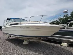 Salvage boats for sale at Avon, MN auction: 1985 Sea Ray Boat