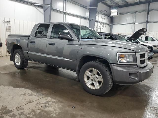 2011 Dodge Dakota SLT