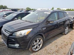 Ford salvage cars for sale: 2013 Ford Escape Titanium