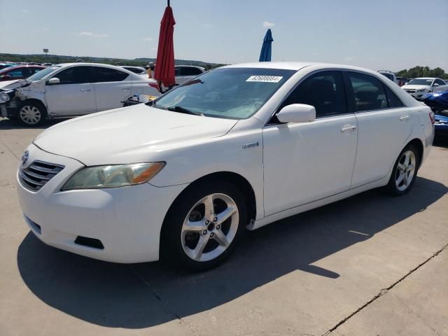 2009 Toyota Camry Hybrid