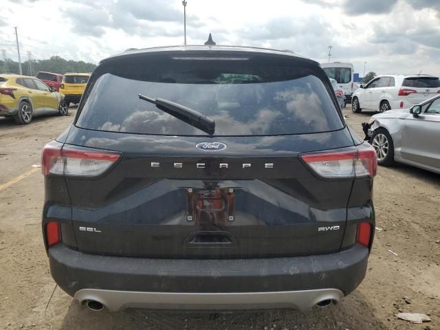 2021 Ford Escape SEL