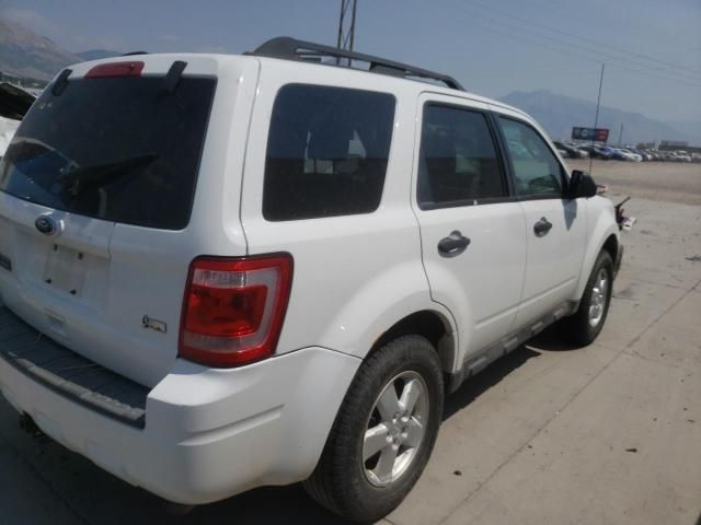 2010 Ford Escape XLT