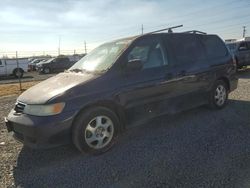 Honda salvage cars for sale: 2004 Honda Odyssey LX