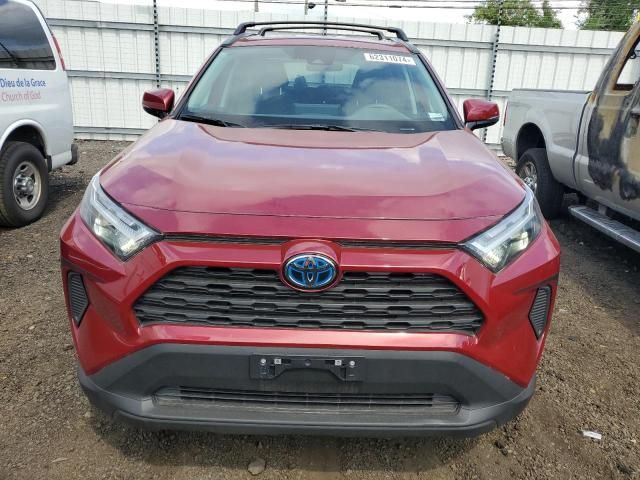 2023 Toyota Rav4 XLE