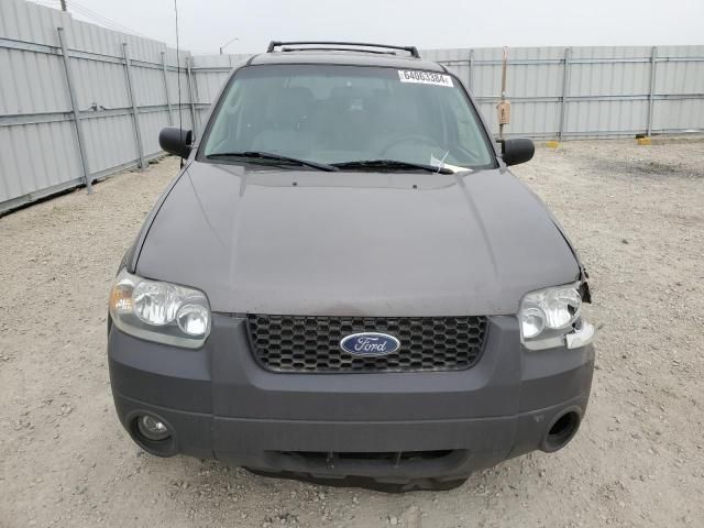 2006 Ford Escape XLT