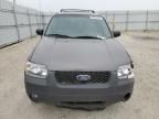 2006 Ford Escape XLT