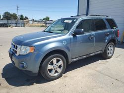 Ford salvage cars for sale: 2012 Ford Escape XLT