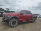 2018 Ford F150 Raptor