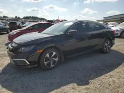 Salvage cars for sale at Earlington, KY auction: 2019 Honda Civic LX