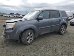 2013 Honda Pilot EXL en venta en Eugene, OR