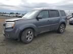 2013 Honda Pilot EXL