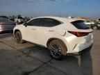 2024 Lexus NX 350H Base