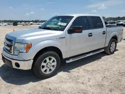 Salvage cars for sale at Houston, TX auction: 2013 Ford F150 Supercrew