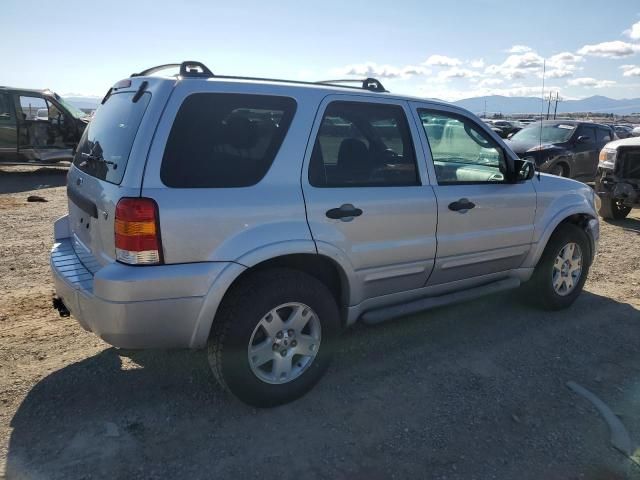 2007 Ford Escape XLT