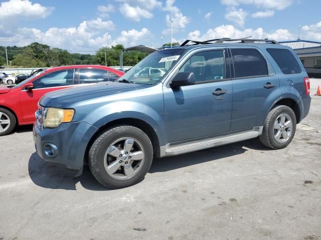 2011 Ford Escape XLT