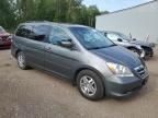 2007 Honda Odyssey EXL