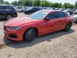 Salvage cars for sale from Copart Chalfont, PA: 2023 Acura TLX Type S