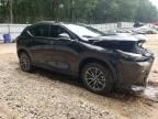 2024 Lexus NX 350H Base