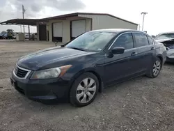 Salvage cars for sale at Temple, TX auction: 2009 Honda Accord EXL