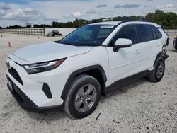 Salvage cars for sale at New Braunfels, TX auction: 2024 Toyota Rav4 XLE