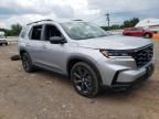 2024 Honda Pilot Sport