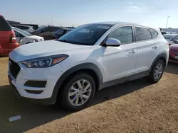 Salvage cars for sale at Brighton, CO auction: 2019 Hyundai Tucson SE