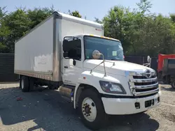 Salvage trucks for sale at Waldorf, MD auction: 2020 Hino 258 268