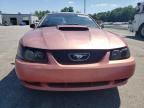 2001 Ford Mustang GT