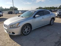 Salvage cars for sale at Newton, AL auction: 2014 Nissan Maxima S