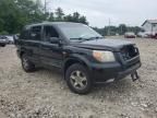 2007 Honda Pilot EX