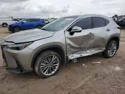 Salvage cars for sale at Houston, TX auction: 2022 Lexus NX 350