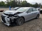 2024 Lexus ES 300H Base