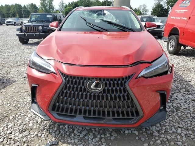 2023 Lexus NX 350