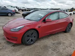 Salvage cars for sale at Houston, TX auction: 2023 Tesla Model 3