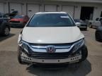 2019 Honda Odyssey EXL