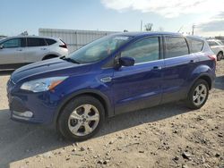 Salvage cars for sale at Appleton, WI auction: 2014 Ford Escape SE