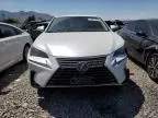 2020 Lexus NX 300H