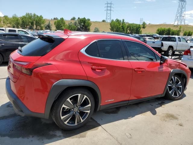 2019 Lexus UX 250H