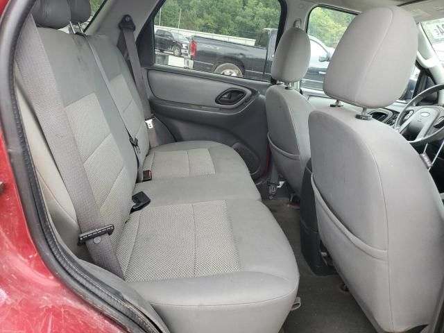 2007 Ford Escape XLT