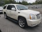 2009 Cadillac Escalade Luxury