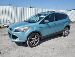 2013 Ford Escape Titanium en venta en Albany, NY