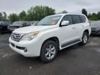 2011 Lexus GX 460