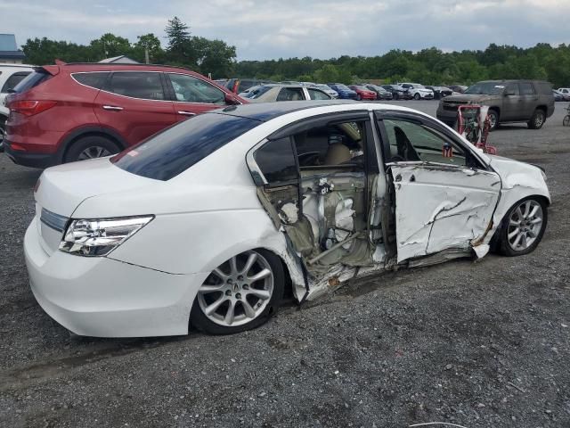 2009 Honda Accord EXL